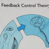 Feedback Control Theory auf Stoff Kinästhetik-Shop